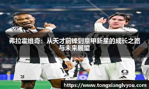 弗拉霍维奇：从天才前锋到意甲新星的成长之路与未来展望